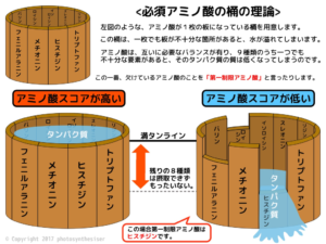 桶の理論 戸田市 | 戸田公園 | 戸田パーソナルジム | 戸田市パーソナルジム | 戸田公園パーソナルジム