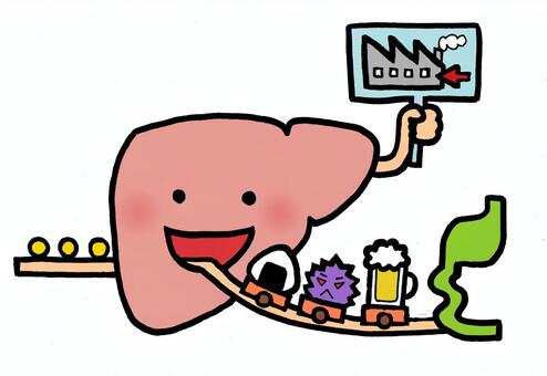 肝臓 代謝 戸田市 | 戸田公園 | 戸田パーソナルジム | 戸田市パーソナルジム | 戸田公園パーソナルジム