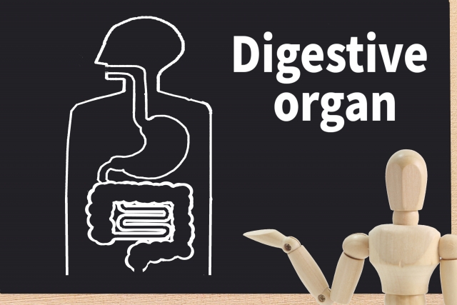 ダイジェスティブシステム 戸田市 | 戸田公園 | 戸田パーソナルジム | 戸田市パーソナルジム | 戸田公園パーソナルジム