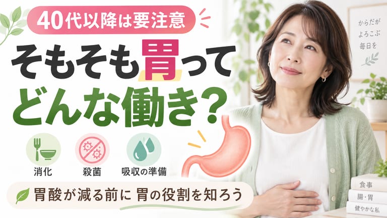 40代以降は要注意。そもそも胃ってどんな働き？胃酸が減る前に胃の役割を知ろう